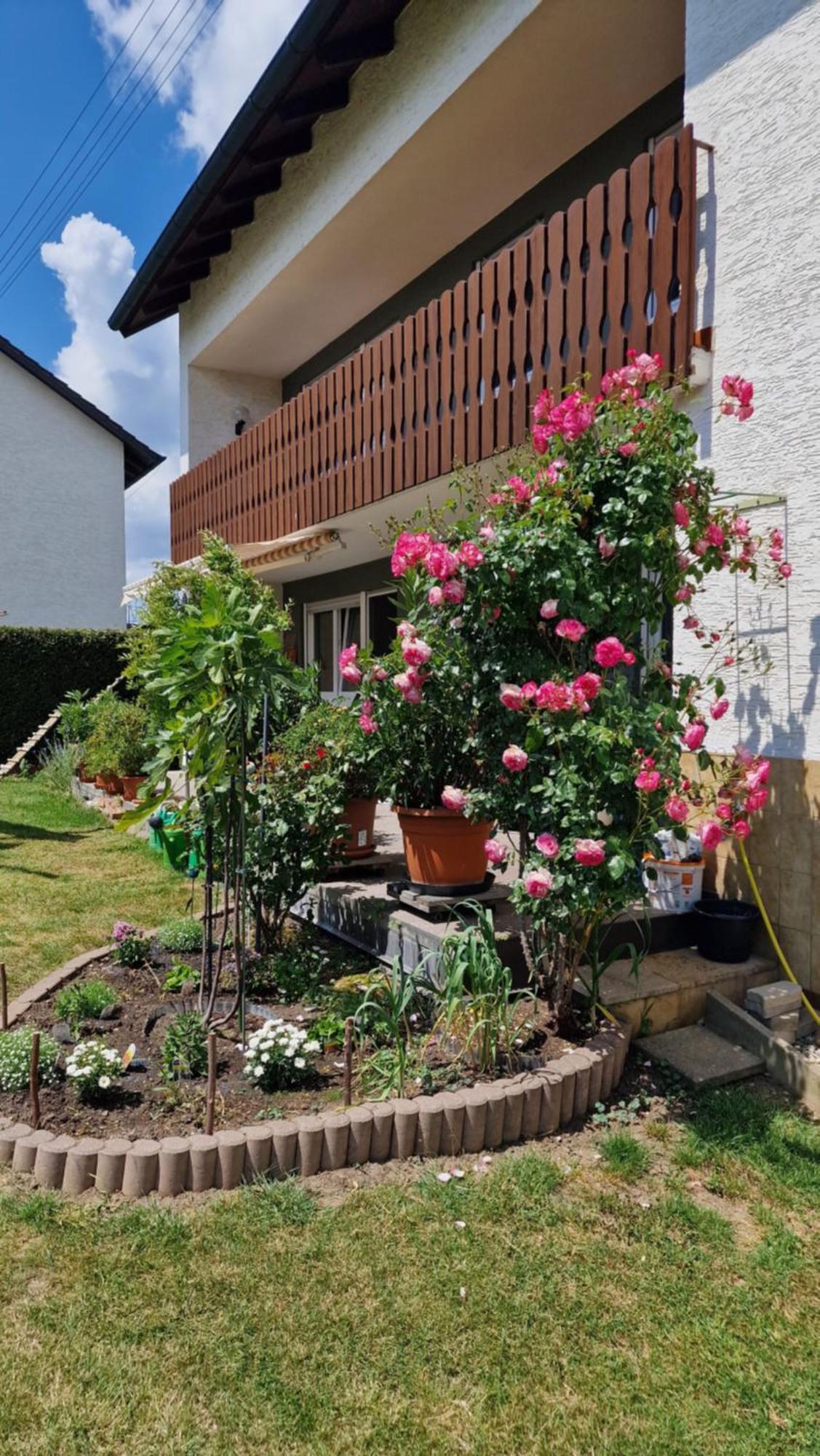 Ferienwohnung Wiesental 89331 Burgau, Wiesentalstrasse 1 Exteriör bild